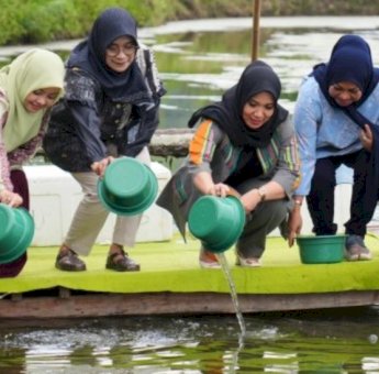 Kunjungan ke Parepare, Sofha Marwah Tebar Benur Udang Vaname dan Tanam Pisang Cavendish