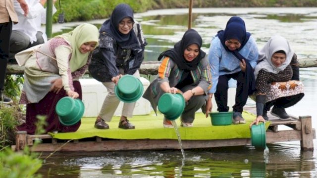 Pj Ketua TP PKK Sulsel Sofha Marwah Bahtiar (tengah), saat melakukan penebaran benur udang Vaname di Tambak Kelompok Pembudidaya Perikanan di Kota Parepare, Sabtu (17/02/2024). (Istimewa)