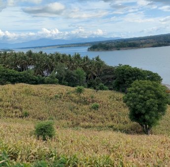 Catatan Mudik 2024 (6)Gadis Cantik Diperebutkan Dua Putra Mahkota