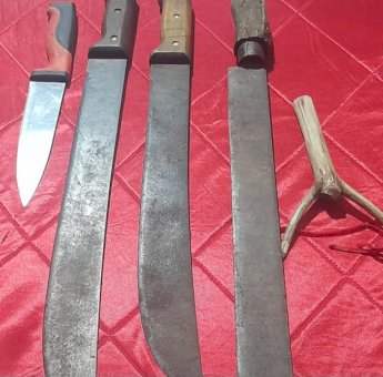 Geledah Pengunjung Konser Musik di Launching Pilgub Papua Selatan 2024, Polisi Sita Sajam dan Miras