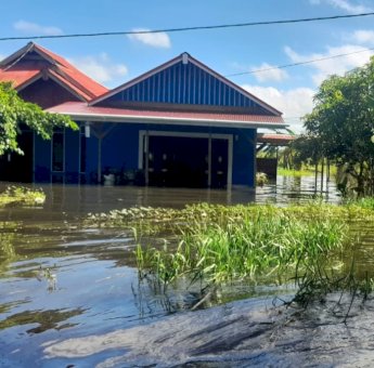 Banjir Merauke Meluas, Ratusan Hektar Sawah dan Rumah di Salor Terendam