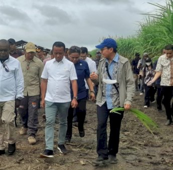 Tinjau Perkebunan Tebu di Merauke, Menteri Investasi Dorong Percepatan Swasembada Gula Nasional
