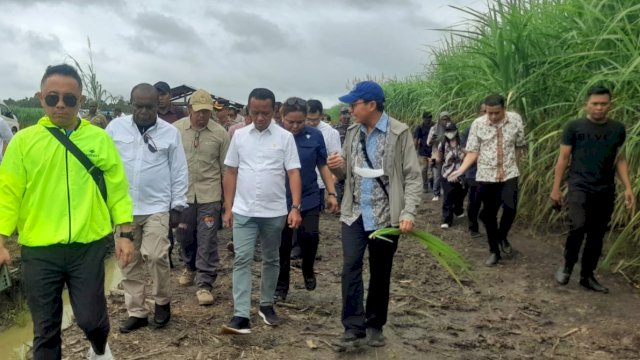 Menteri Investasi/Kepala BKPM, Bahlil Lahadalia meninjau perkebunan tebu di Sermayam Tanah Miring, Merauke, Jumat (17/05/2024). (Foto: Hendrik Resi / republiknews.co.id)