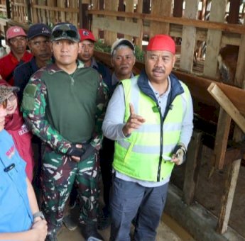 Dorong Swasembada Pangan, Bupati Kukar Berikan Bantuan 50 Ekor Kambing di Desa Cipari Makmur