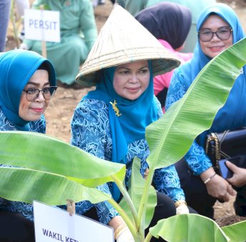 PKK Gowa Geliatkan Pemanfaatan Lahan Pekarangan Rumah Lewat Gerakan Menanam