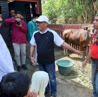 Bupati Kukar Edi Damansyah Serahkan Sapi Qurban di Dua Lokasi Berbeda