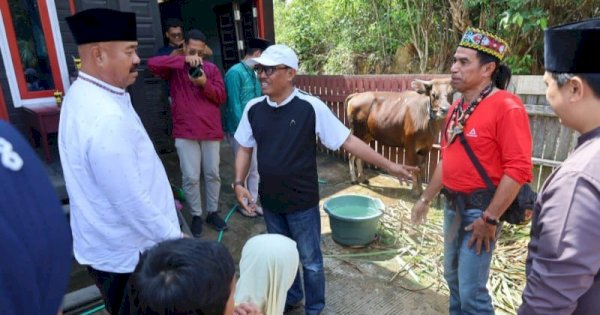 Bupati Kukar Edi Damansyah Serahkan Sapi Qurban di Dua Lokasi Berbeda