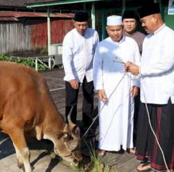 Hewan Kurban Bupati Kukar, Simbol Kepedulian dan Persatuan di Hari Raya Idul Adha