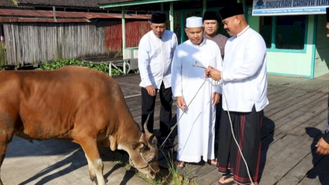 Bupati Kukar Edi Damansyah, menyerahkan bantuan Sapi Kurban di Langgar Anugerah Cahaya Ilahi, Tenggarong, Senin (17/06/2024). (Istimewa)