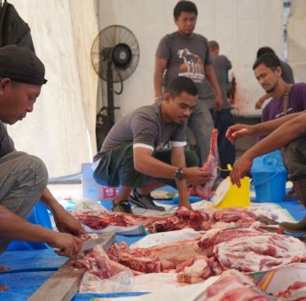 Idul Adha 1445 Hijriah, PLN UID Sulselrabar Bagikan 5 Ton Daging Hasil 74 Ekor Hewan Kurban