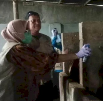 Jelang Iduladha, Pemkot Parepare Lakukan Pemeriksaan Hewan Kurban