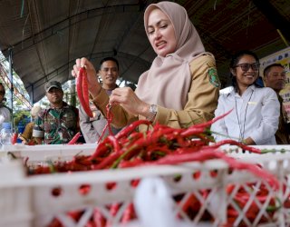Pemkab Luwu Utara Gelar GPM Jelang Iduladha