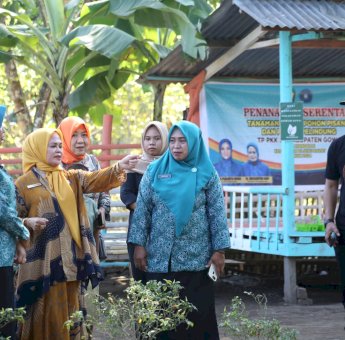 TP PKK Bajeng Barat Bangun Rumah Belajar Bagi Kader