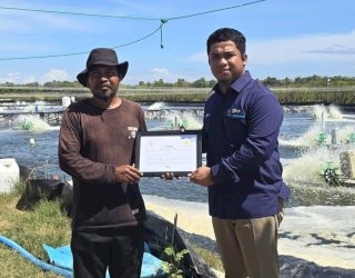 Tambak Udang di Sulsel Hemat Belasan Juta Rupiah per Bulan Berkat Listrik Hijau PLN