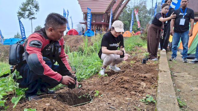 Yamaha Indonesia melalui main dealer PT Suracojaya Abadimotor (SJAM) melakukan penanaman bibit pohon di sela kegiatan Maxi Yamaha Day 2024 di Puncak Lolai, Toraja Utara, Minggu (8/9/2024). (Foto: Istimewa)