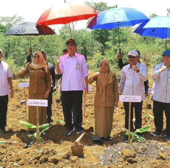 2025, OJK Perluas Ekosistem Program Budidaya Pisang Cavendish di Sulsel