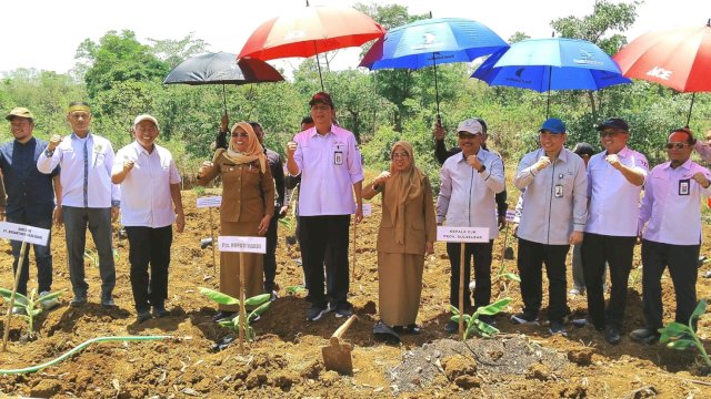 Kepala OJK Sulselbar Darwisman (tengah) saat menghadiri penanaman perdana pisang cavendish di Desa Benteng Gajah, Kecamatan Tompobulu, Kabupaten Maros pada 30 September 2024 lalu. (Dok: Dinas TPHBUN Sulsel)
