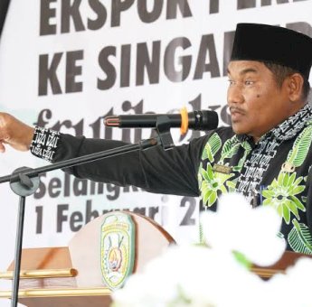 Kecamatan Kaliorang di Kutim, Ekspor Pisang Hingga ke Brasil dan Finlandia