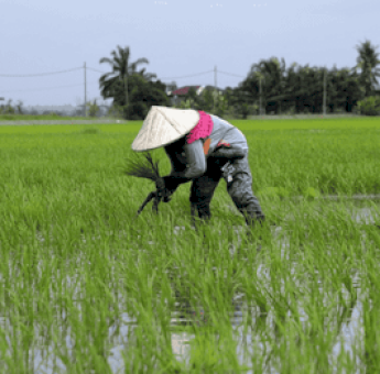 Sektor Pertanian Dominasi Akses Program Phinisi OJK di Sulsel