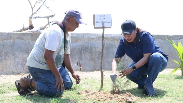 Ketua KPU Papua Selatan, Theresia Mahuze (kanan) melakukan penanaman pohon cemara. (Hendrik Resi / Republiknews.co.id)