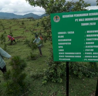 Hadirkan Masa Depan Berkelanjutan, PT Vale Dukung Rehabilitasi DAS di Sulawesi Selatan