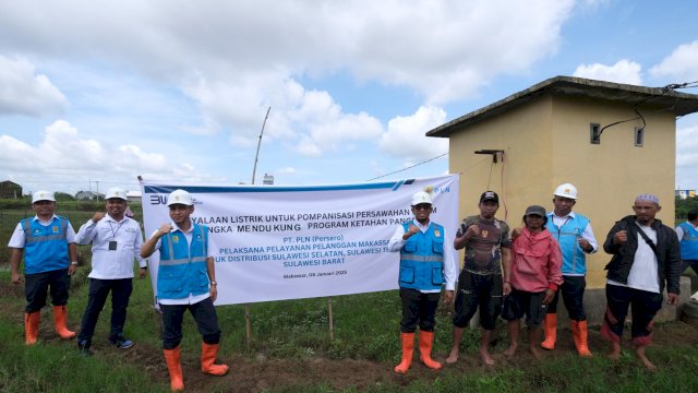 Program Electrifying Agriculture (EA) dari PT PLN (Persero) sukses membantu pompanisasi sawah bagi petani di Sulawesi Selatan dalam menghemat biaya operasional sampai dengan 75 persen per bulan. (Foto: Istimewa)