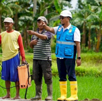 Program Listrik PLN Masuk Sawah Mampu Buat Petani di Sulsel Untung Berkali Lipat