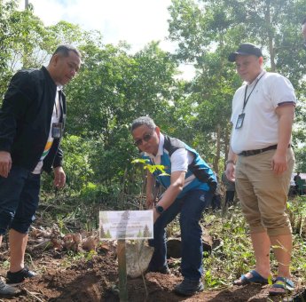 PLN UIP Sulawesi Tanam Pohon di 17 Ha Lahan Kritis