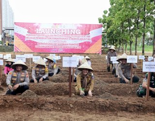 Wagub Sulsel Fatmawati Rusdi Apresiasi Program Pekarangan Pangan Lestari yang Digagas Polda Sulsel
