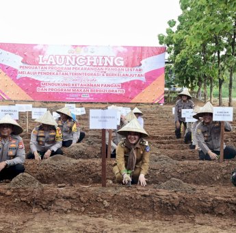 Wagub Sulsel Fatmawati Rusdi Apresiasi Program Pekarangan Pangan Lestari yang Digagas Polda Sulsel