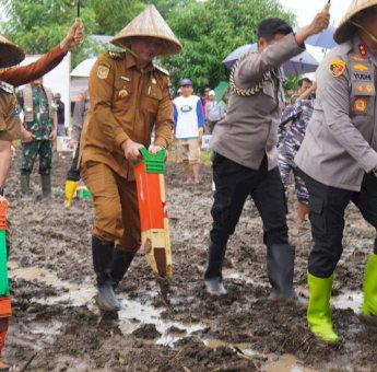 Pj Bupati Jeneponto Hadiri Penanaman Jagung Serentak 1 Juta Hektar di Kawasan PTPN XIV