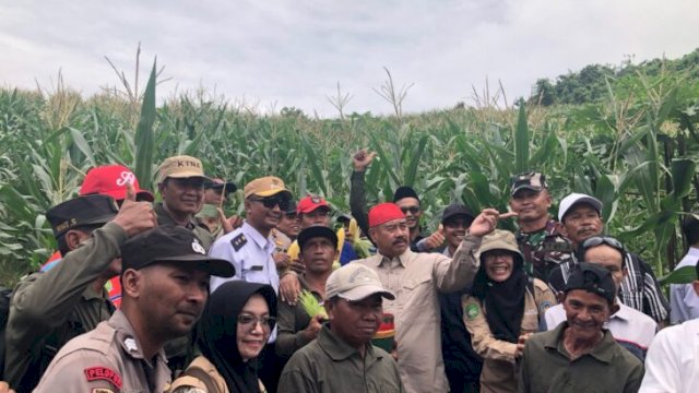 Bupati Kukar, Edi Damansyah berada ditengah-tengah kegiatan memanen jagung bersama kelompok tani. [Foto. IST]