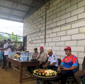 Panen Jagung dan Budidaya Lele di Maluhu Bukti Nyata Ketekunan Petani