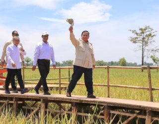 Prabowo Apresiasi Gerak Cepat Mentan Amran Kawal Target Swasembada Pangan Nasional