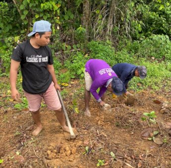 RT di Kukar Jadi Pelopor Edukasi Lingkungan Lewat Tanaman Pekarangan