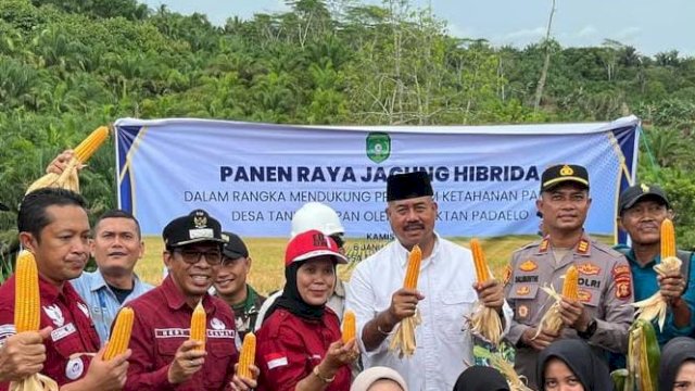 Kegiatan Panen Raya Jagung Hibrida di Kecamatan Loa Janan yang dihadiri Camat, hingga Bupati bersama forkopimda Kukar. [istimewa]