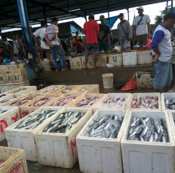 Pelabuhan dan TPI Perkuat Distribusi Hasil Laut di Samboja, Kukar