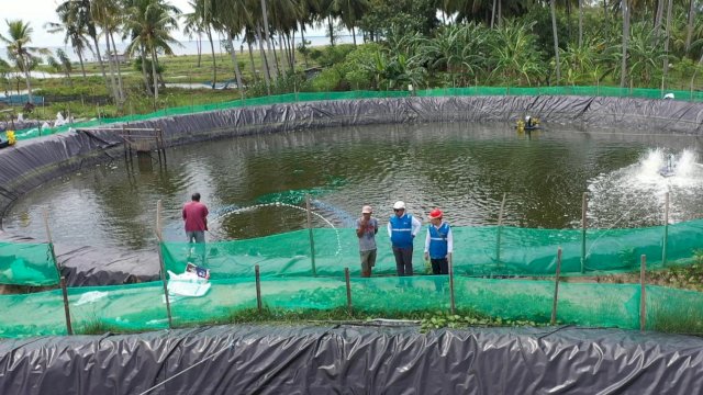 Petugas PLN melakukan peninjauan lapangan pasokan listrik tambak udang vaname di Desa Beru-beru, Kabupaten Mamuju. (Foto: Istimewa)