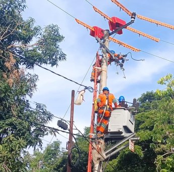 Tingkatkan Keandalan Jaringan Listrik, Pasukan Khusus PLN UID Sulselrabar Tuntaskan 82 Titik Pekerjaan di Bantaeng