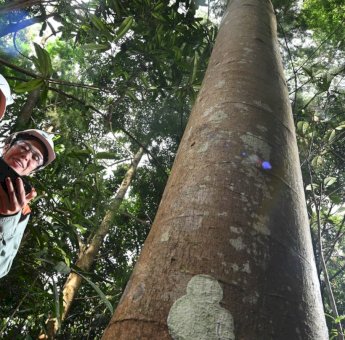 PT Vale dan Unhas Gagas Sekolah Vokasi Tambang, Bakal Jadi Pusat Vokasi Hilirisasi di Indonesia Timur