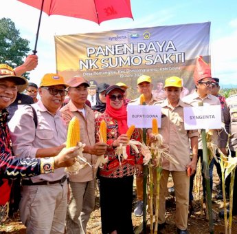 Produksi Jagung Ditarget Meningkat, Dukung Ketahanan Pangan di Gowa