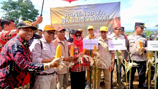 Bupati Gowa, Sitti Husniah Talenrang saat menghadiri Panen Raya Jagung NK Sumo Sakti, di Dusun Samaya, Romanglompoa, Kecamatan Bontomarannu, Kamis (19/06/2025). (Dok. Humas Gowa)