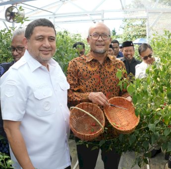 Pemkot Makassar Hadirkan Ketahanan Pangan dan Kemandirian Ekonomi Lewat Urban Farming