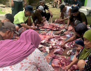 Rayakan Idul Adha, Kerukunan Masyarakat Bulukumba Kurban 14 Ekor Sapi