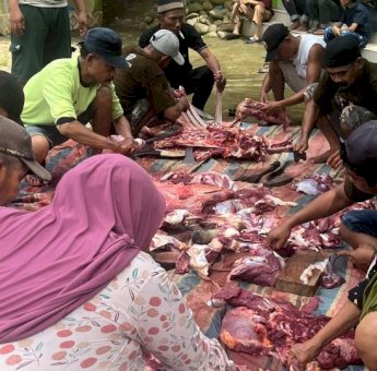 Rayakan Idul Adha, Kerukunan Masyarakat Bulukumba Kurban 14 Ekor Sapi
