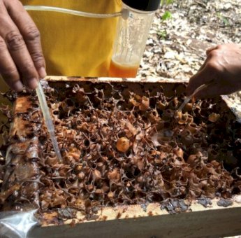 Jembayan Tengah Kembangkan Wisata Edukasi, Dorong Kreativitas dan Ekonomi Desa