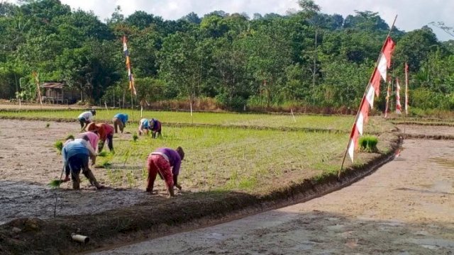 Gotong royong warga desa Loa Raya dalam sektor pertanian. (Istimewa)