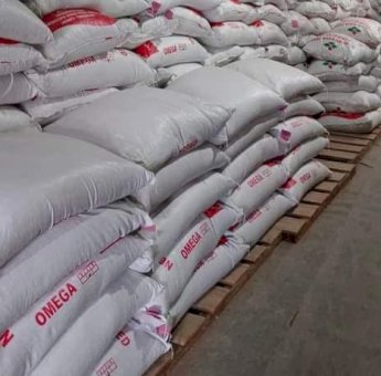 Desa Loa Raya Bangun Ekonomi dari Akar: Fokus pada SDM dan UMKM untuk Atasi Pengangguran