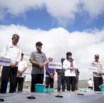 Terima 175 Ribu Benih, Gowa Masuk Lokus Pengembangan Komoditas Kentang