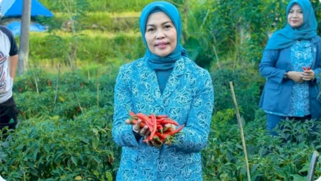 Ketua TP-PKK Bulukumba Andi Herfida Attas memperlihatkan cabai hasil program GEMOIH. [IST]